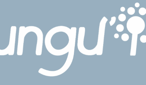 Fungu’it raises €4 million to industrialize its fermentation-based natural flavor technology